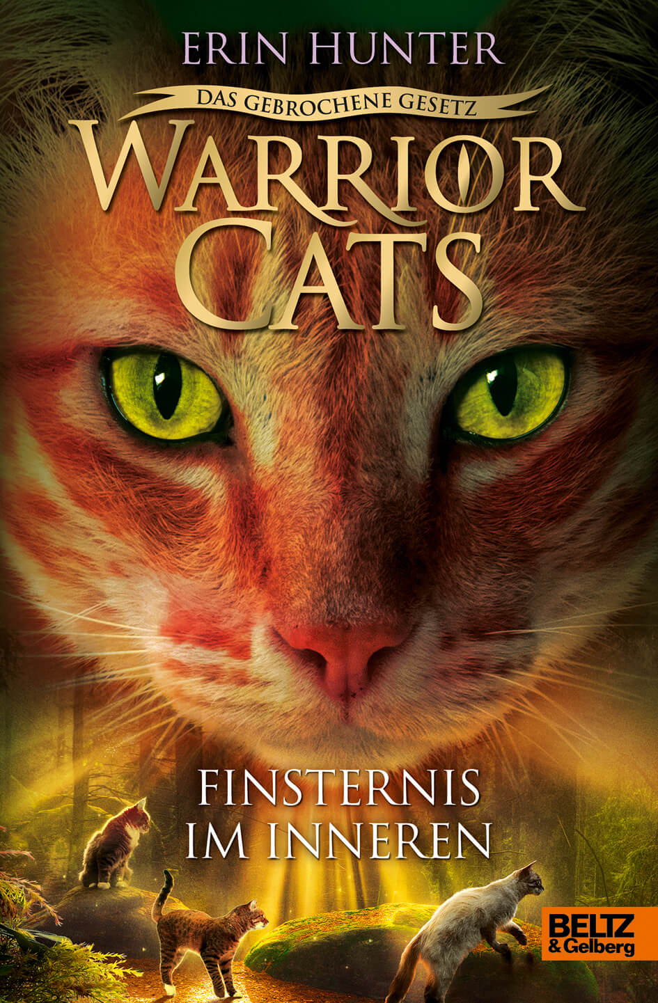 Erin Hunter: Warrior Cats 7/4 Das gebrochene Gesetz: Finsternis im Innern