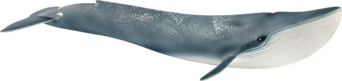Schleich Wild Life 14806 Blauwal