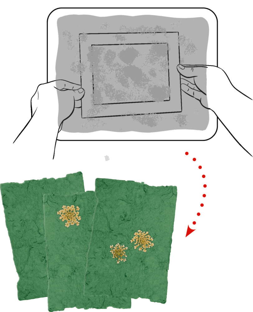 Papierschöpfen - Nature Zoom
