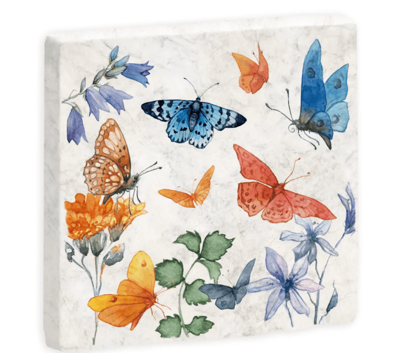 Bildschirmfoto-2024-02-28-um-13-24-22 Untersetzer Schmetterlingswiese