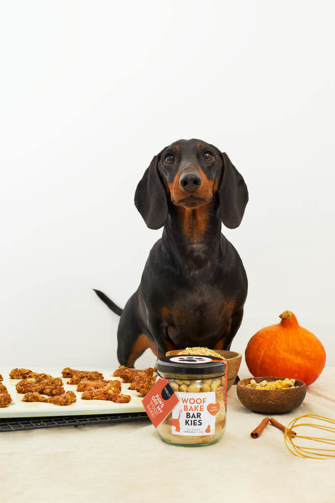 Woof bake Barkies - Hundekekse Kürbis Woof bake Barkies - Hundekekse Kürbis