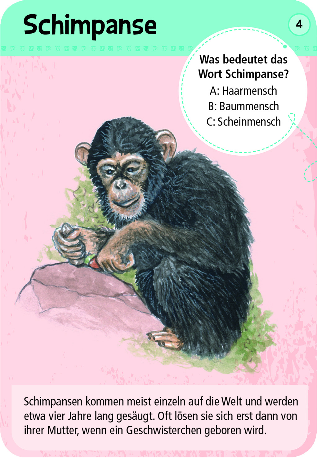 9844_Inhalt_2A Expedition Natur 50 Tierkinder