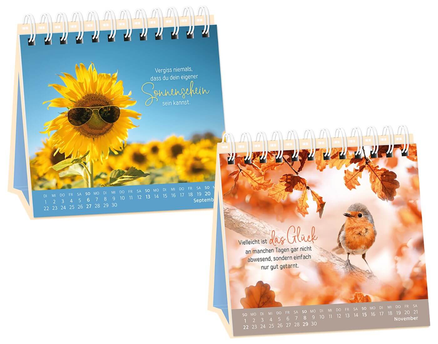 Tischkalender 2026 Extraportion Glück Tischkalender 2026 Extraportion Glück