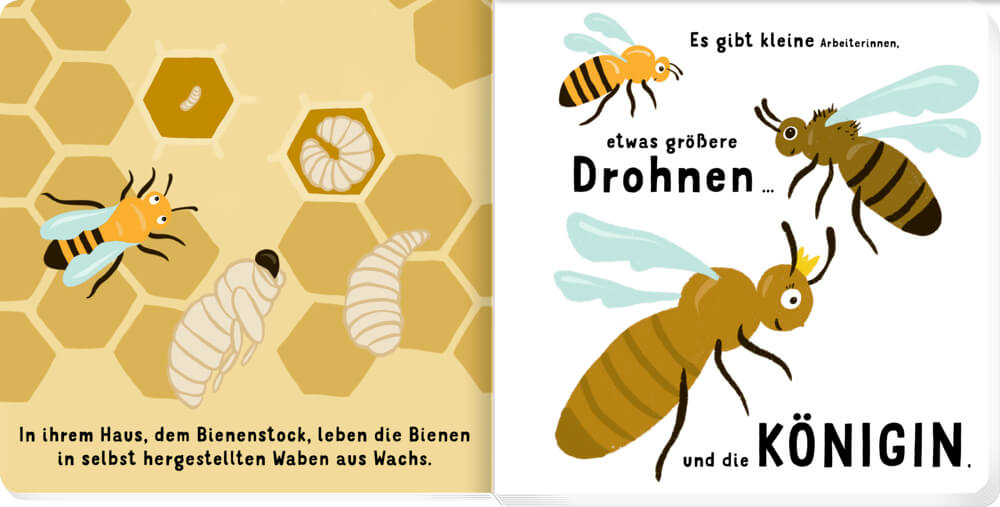 9783649672210_2 Unsere Bienenfreunde