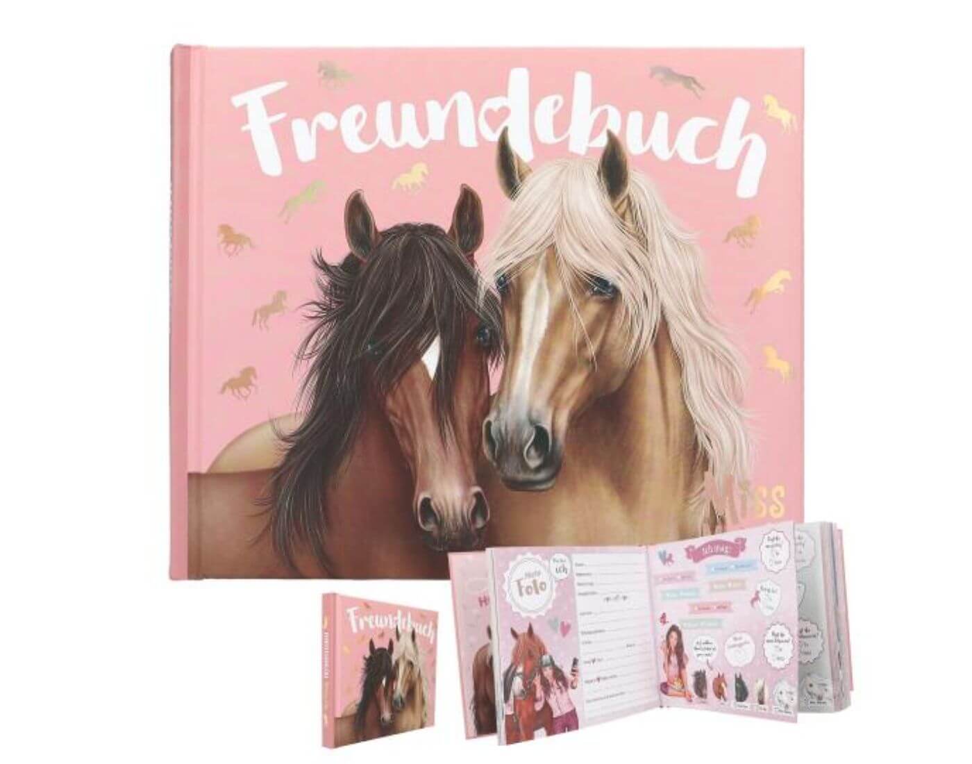 Miss Melody Freundebuch, Motiv 2