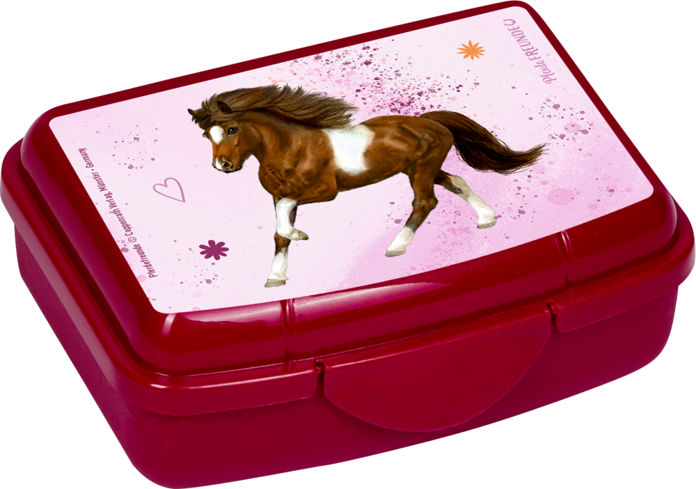 4029753181275_1 Mini-Snackbox - Pferdefreunde (einzeln)