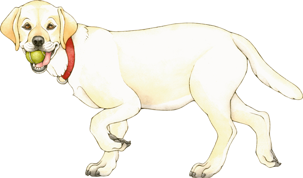 9783649641995_3 Das verrückte Hunde-Klappbuch