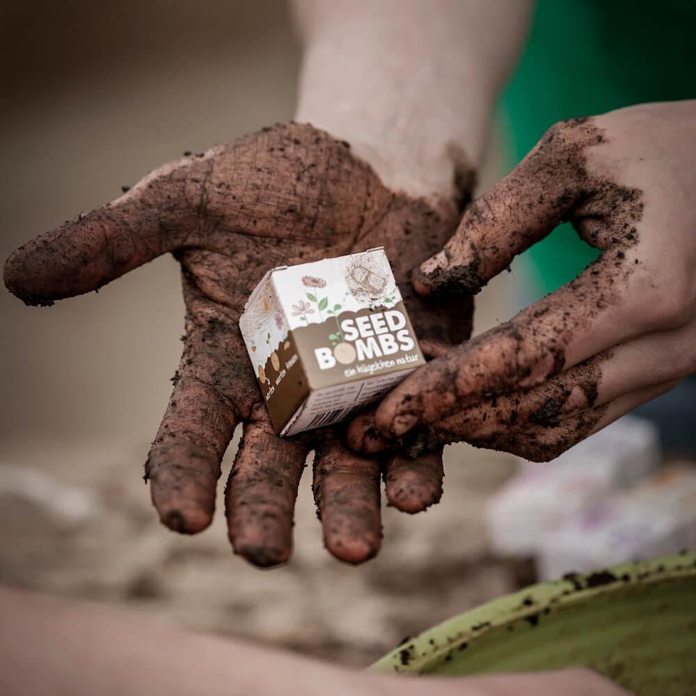 samenbomben-wildblumen-hand-1000x1000 Seedbomb Wildblumen