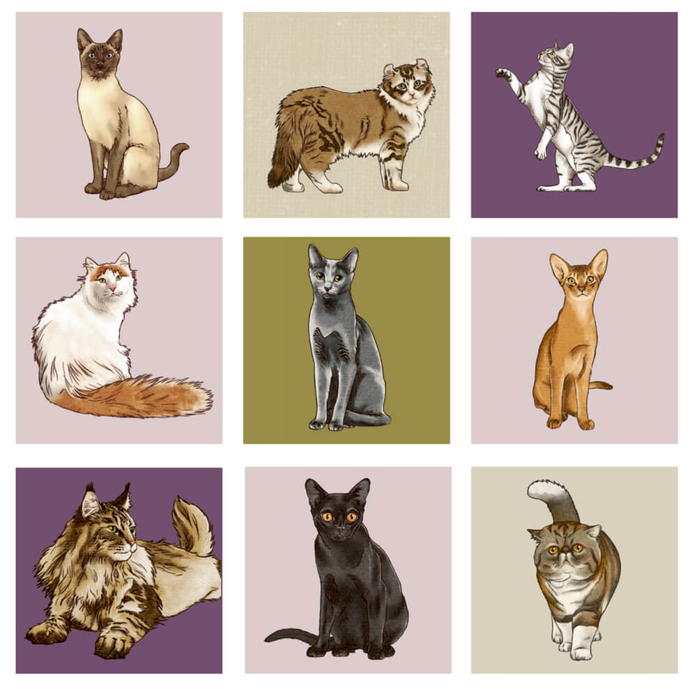Memo - I love cats (cats & dogs)