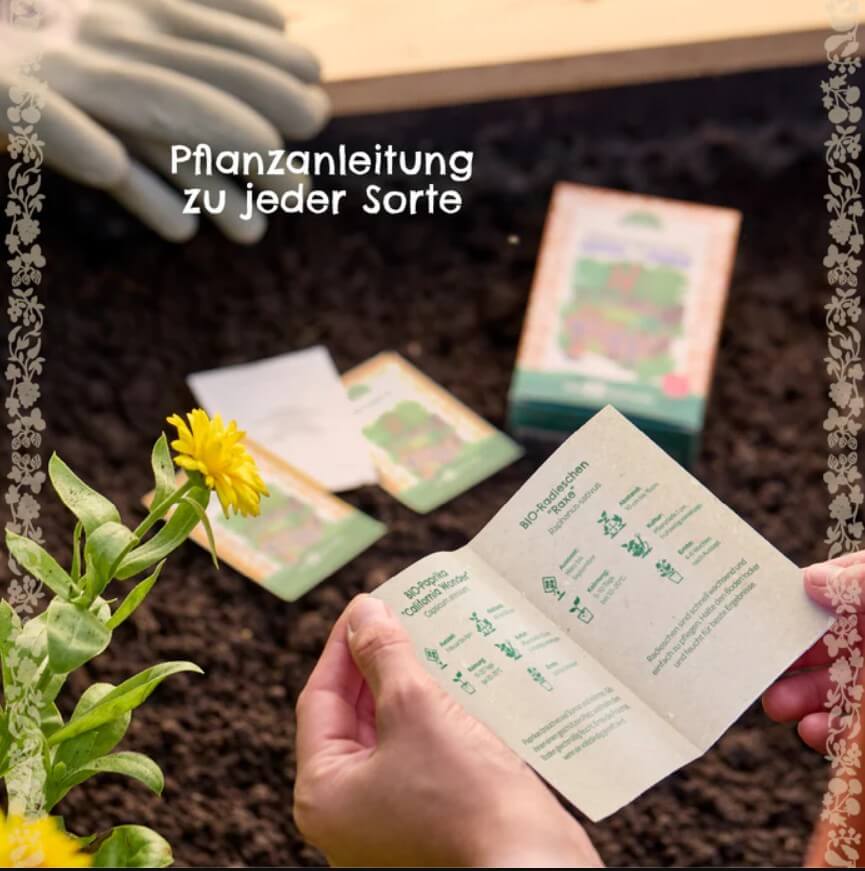 Saatgut-Set Balkongemüse (BIO)