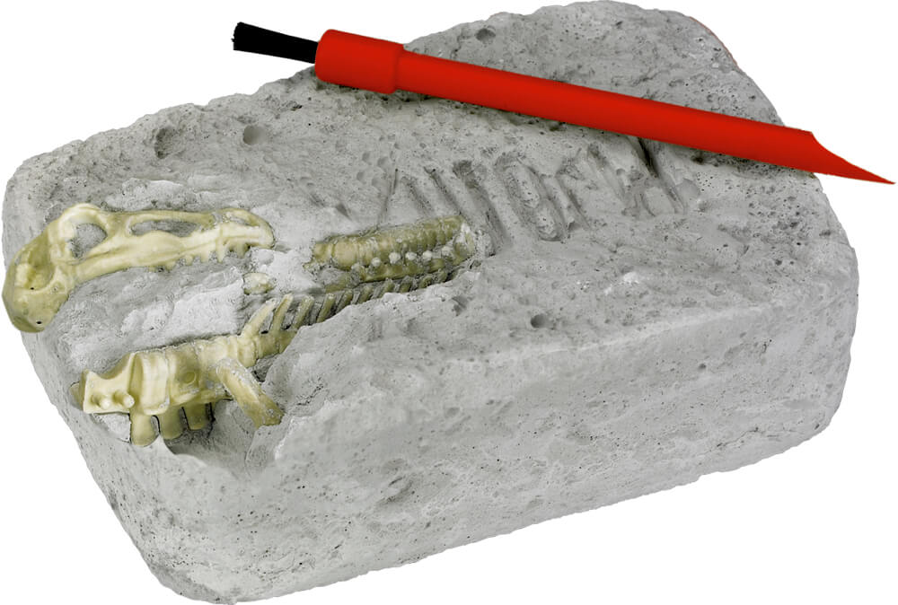 4029753219589_1 Ausgrabungsset Triceratops - T-Rex World