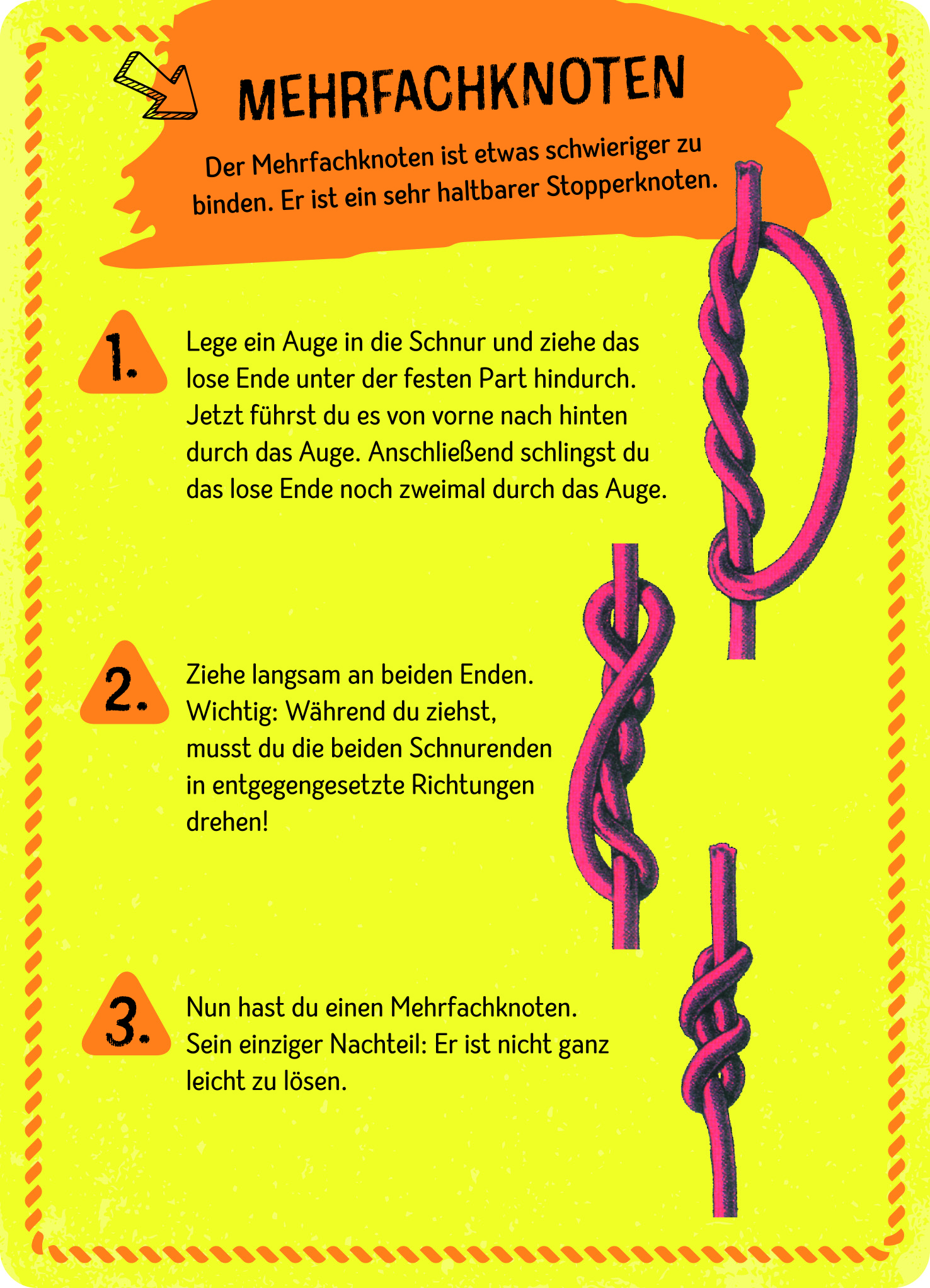 Expedition Natur - Die große Box der Knoten