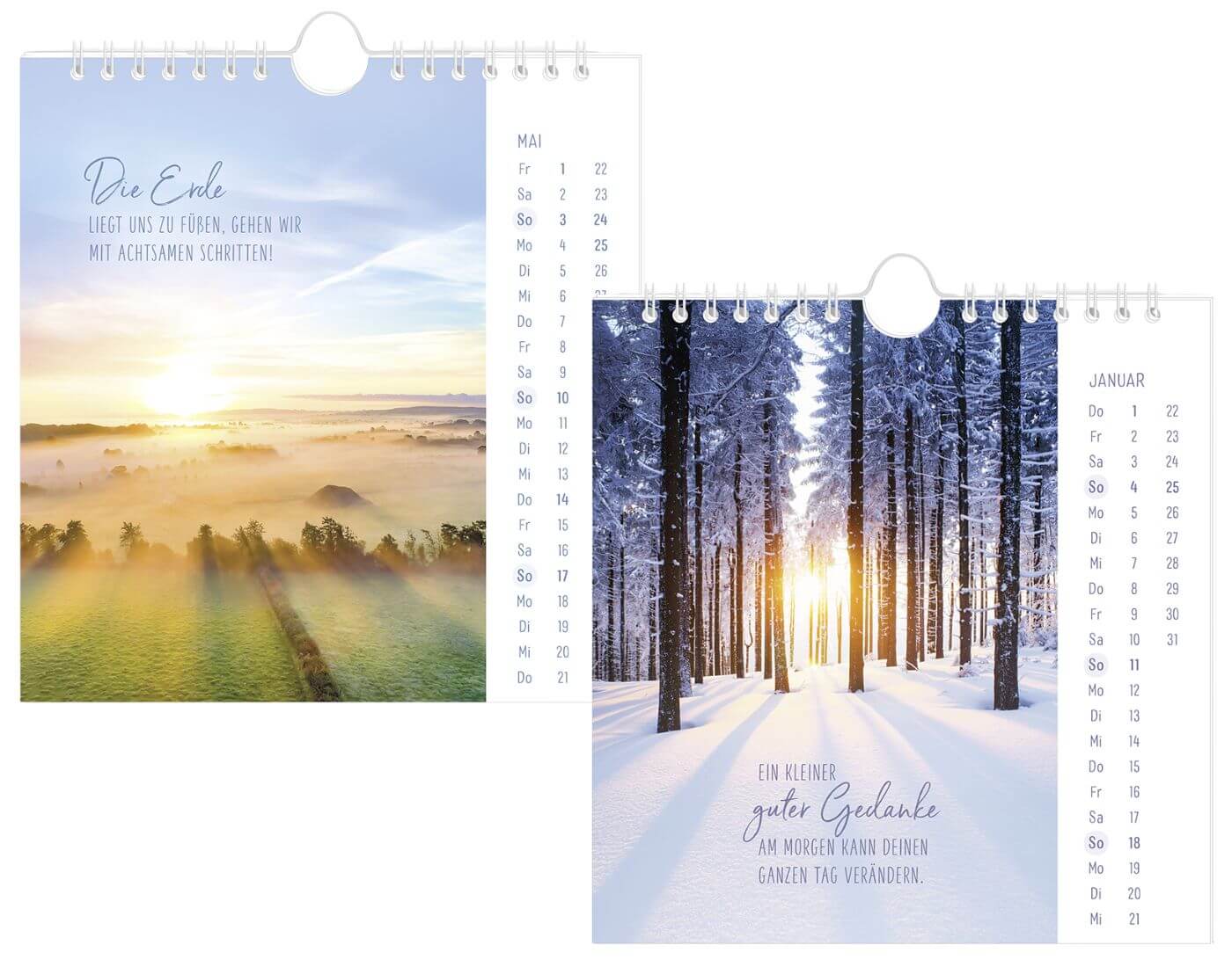 Postkartenkalender 2026 Lichtblicke