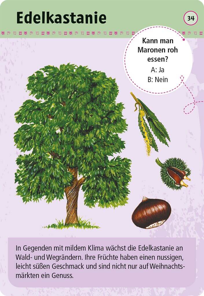 Expedition Natur - 50 essbare Wildpflanzen
