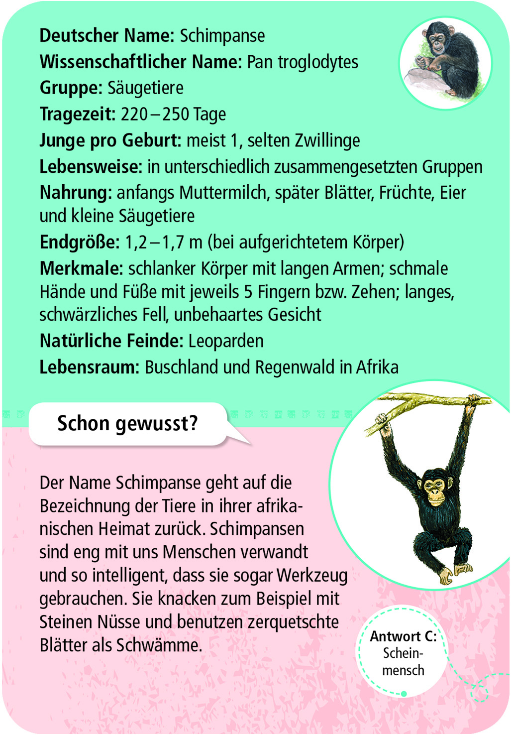 9844_Inhalt_2B Expedition Natur 50 Tierkinder