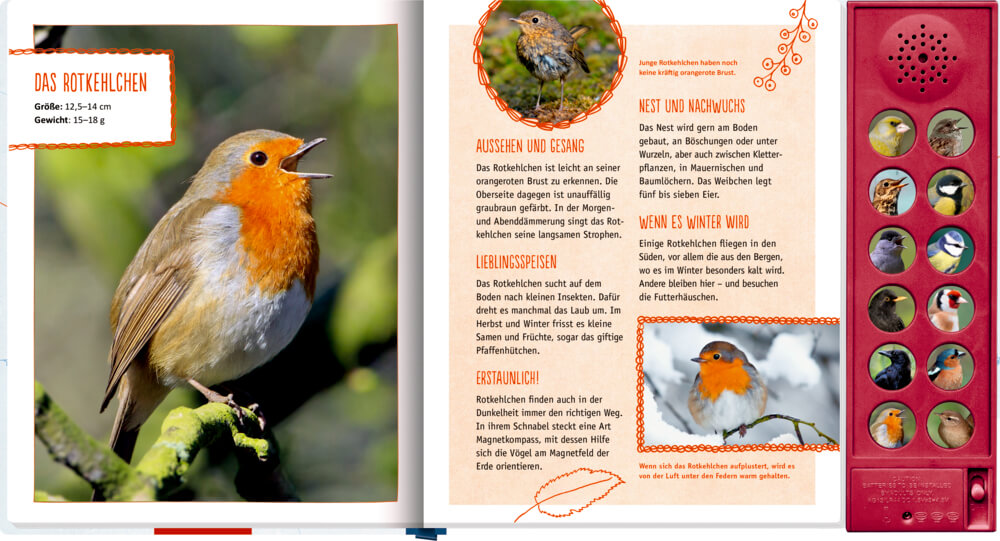 Vögel in unserem Garten (Soundbuch)