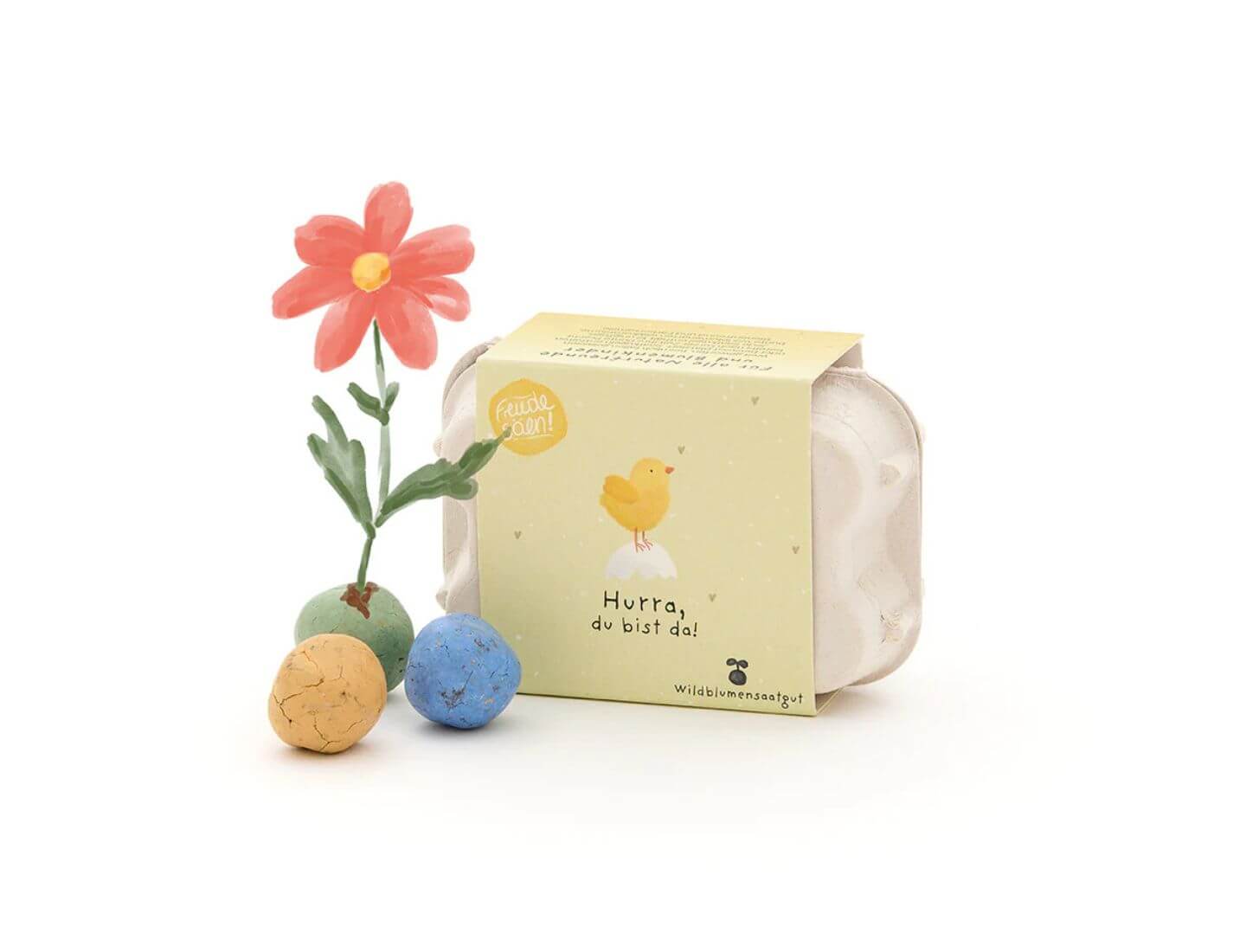 6 bunte Blumenmurmeln im Eierkarton "Hurra, du bist da"