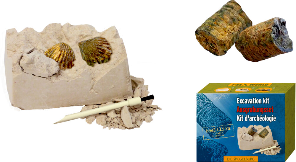 4029753180209_2 Mini-Ausgrabungsset Fossilien - T-Rex World (einzeln) versch. Motive