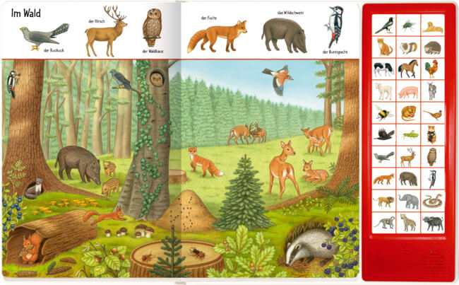 Bilder suchen-Wörter finden: So viele Tierstimmen (Soundbuch)