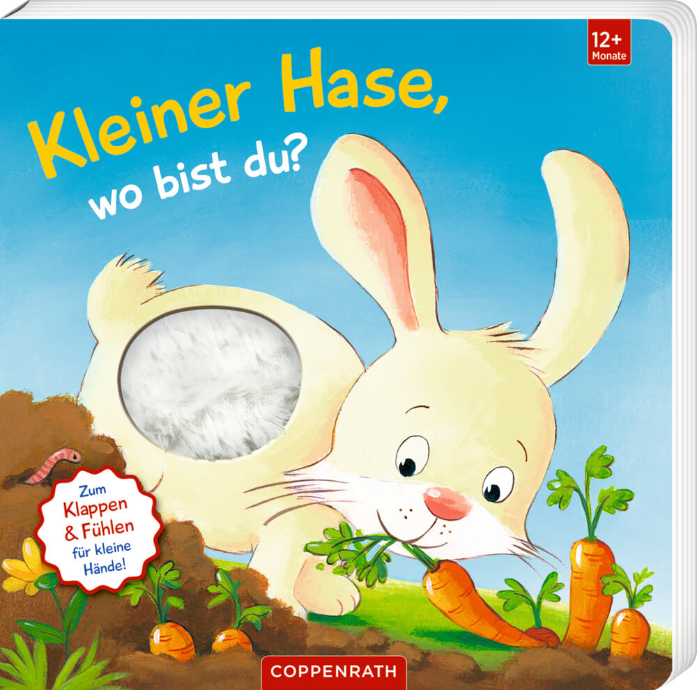 Mein 1. Guckloch-Fühlbuch: Kl. Hase, wo bist du? (Fühlen&begreifen)