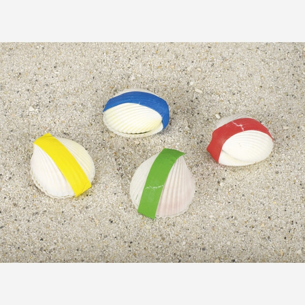 Wundermuschel (einzeln)