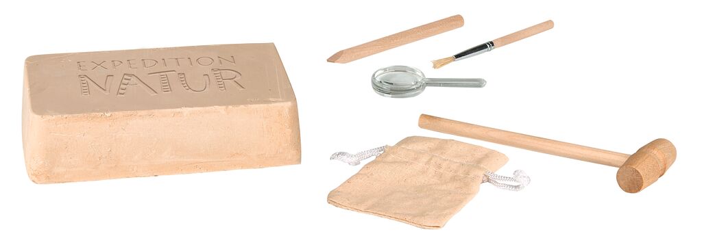 9832_Inhalt_1 Expedition Natur - Das große Fossilien-Ausgrabungs-Set