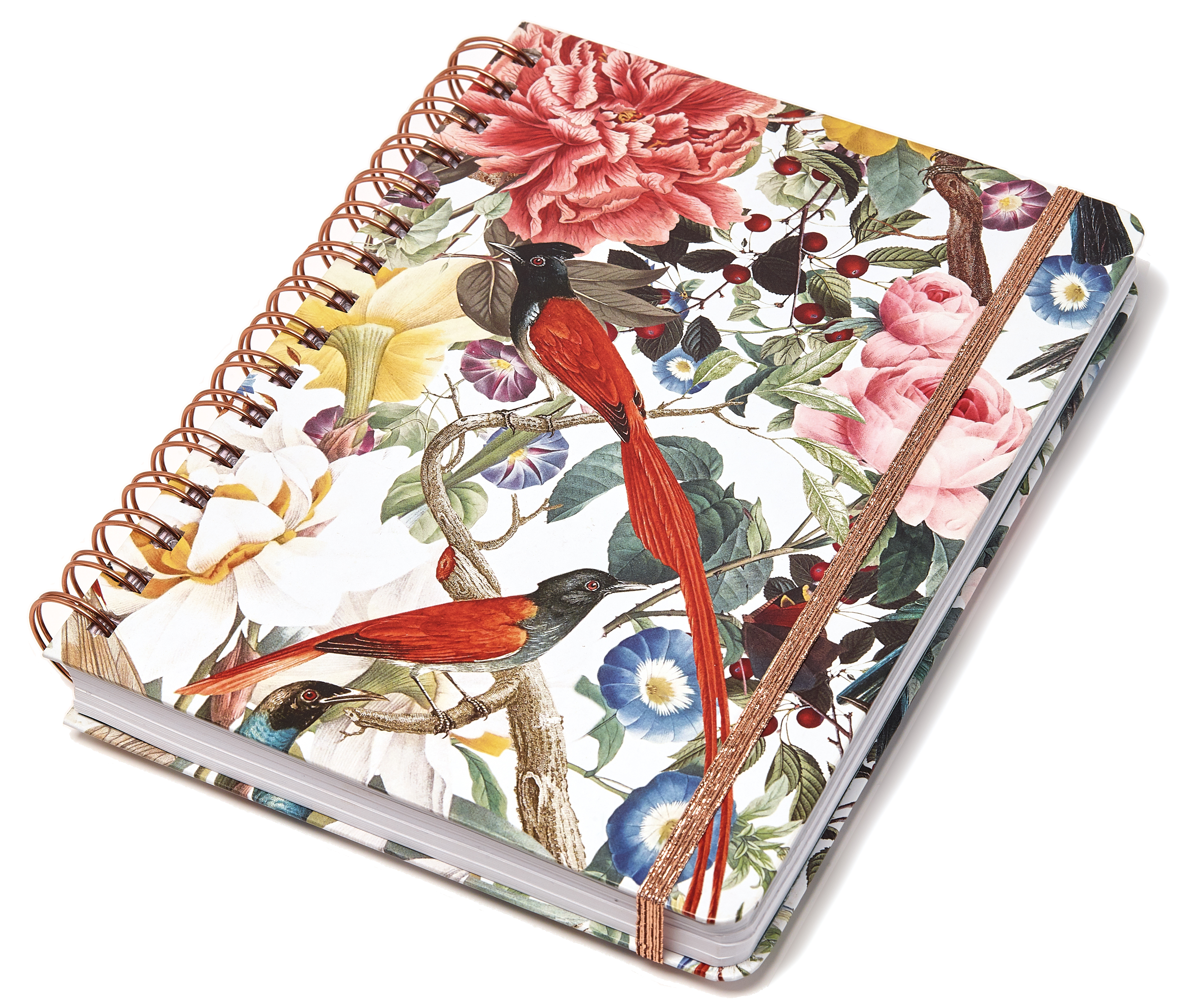 Ringbuch Red Birdies