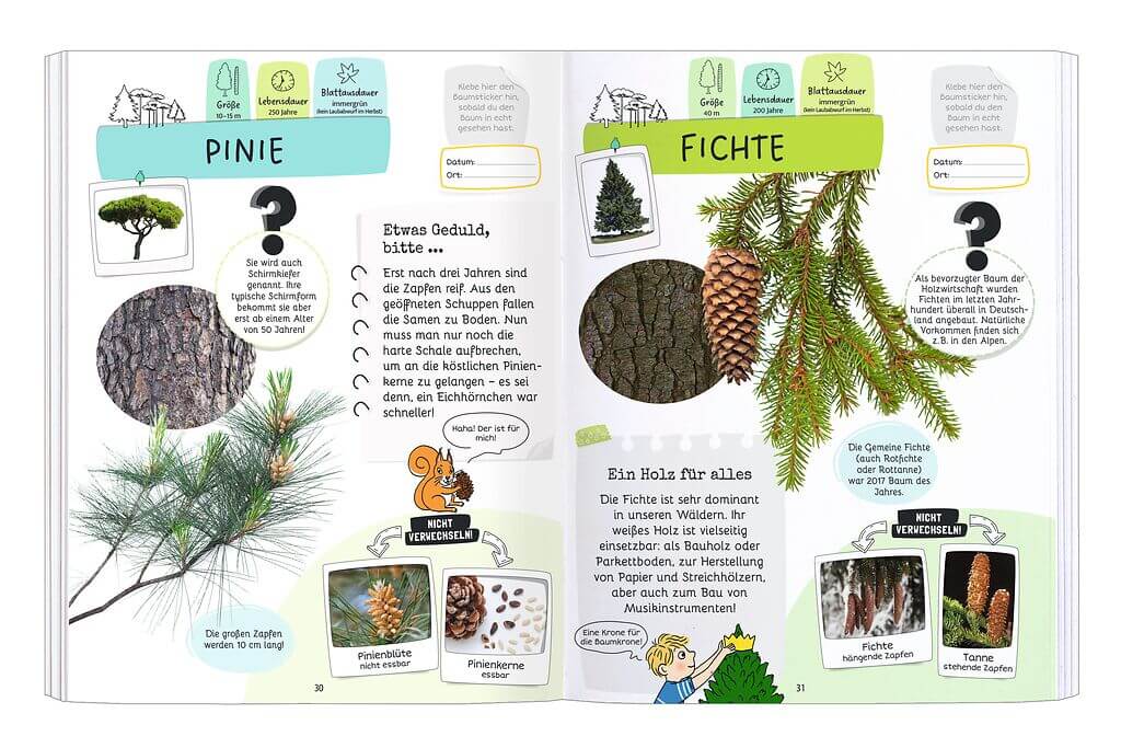 Expedition Natur - Rätseln, Stickern, Bestimmen: Bäume