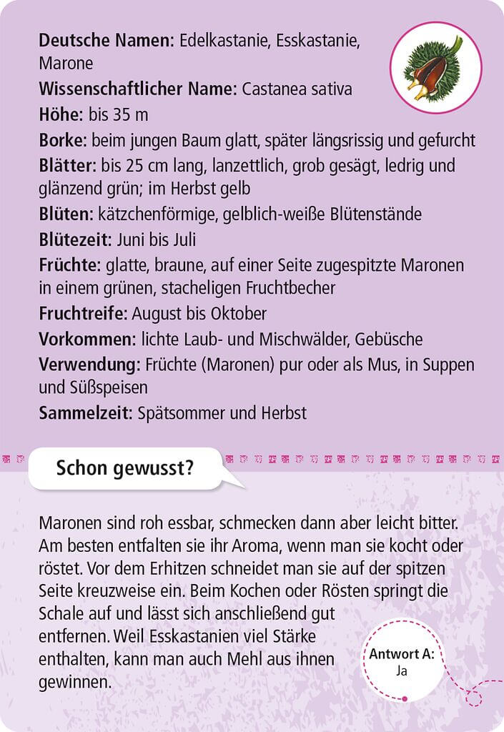 Expedition Natur - 50 essbare Wildpflanzen