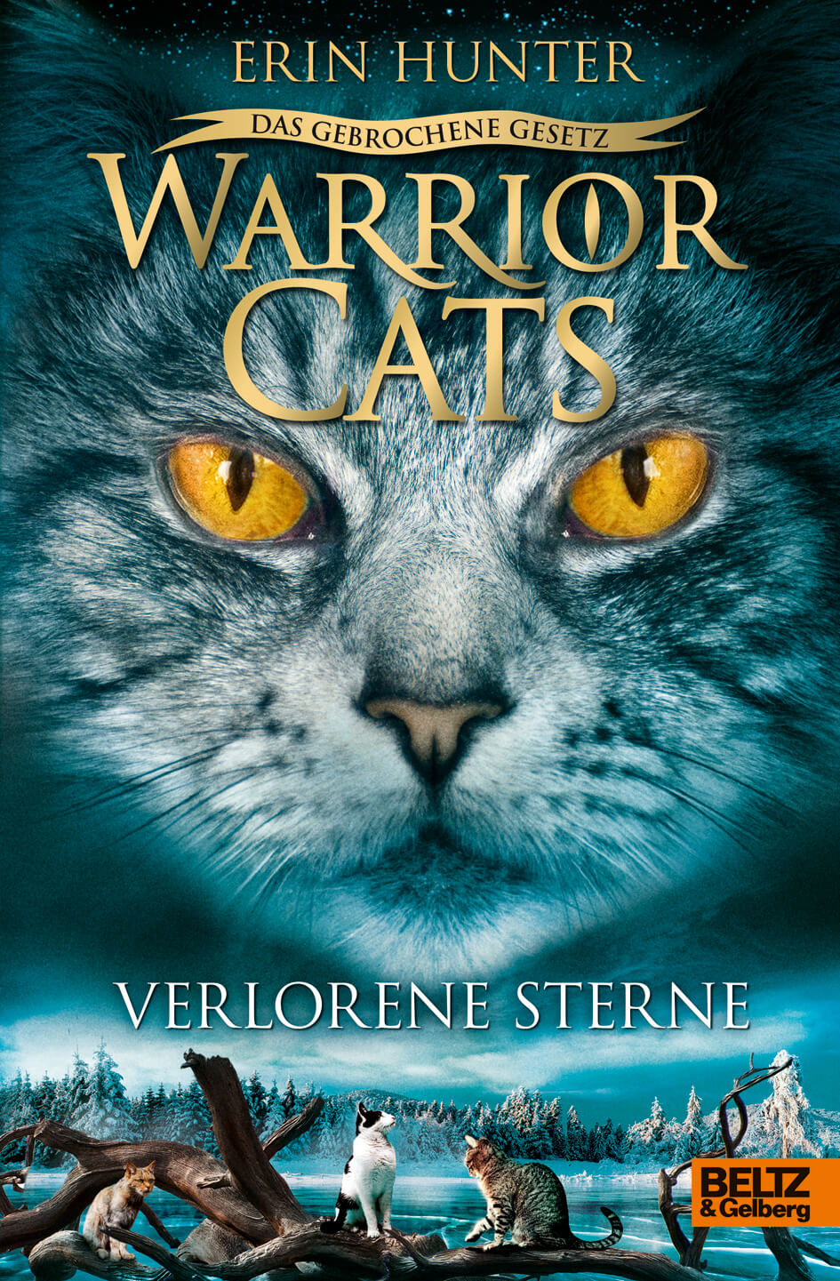 Erin Hunter: Warrior Cats 7/1 Das gebrochene Gesetz: Verlorene Sterne