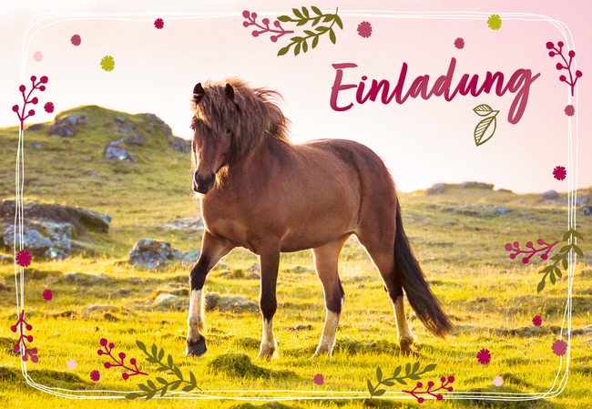Einladungskarten Pferdefreunde - Einladung (10 Ex.sort.&Um.)
