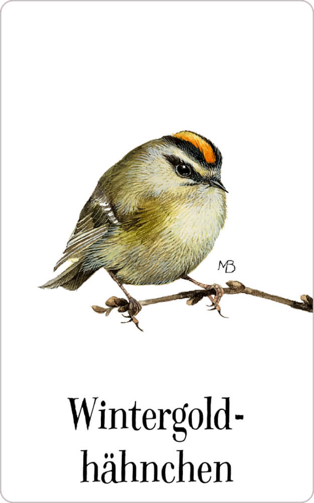 Schachtelspiel: Zauberhaftes Vogel-Memo - M. Bastin