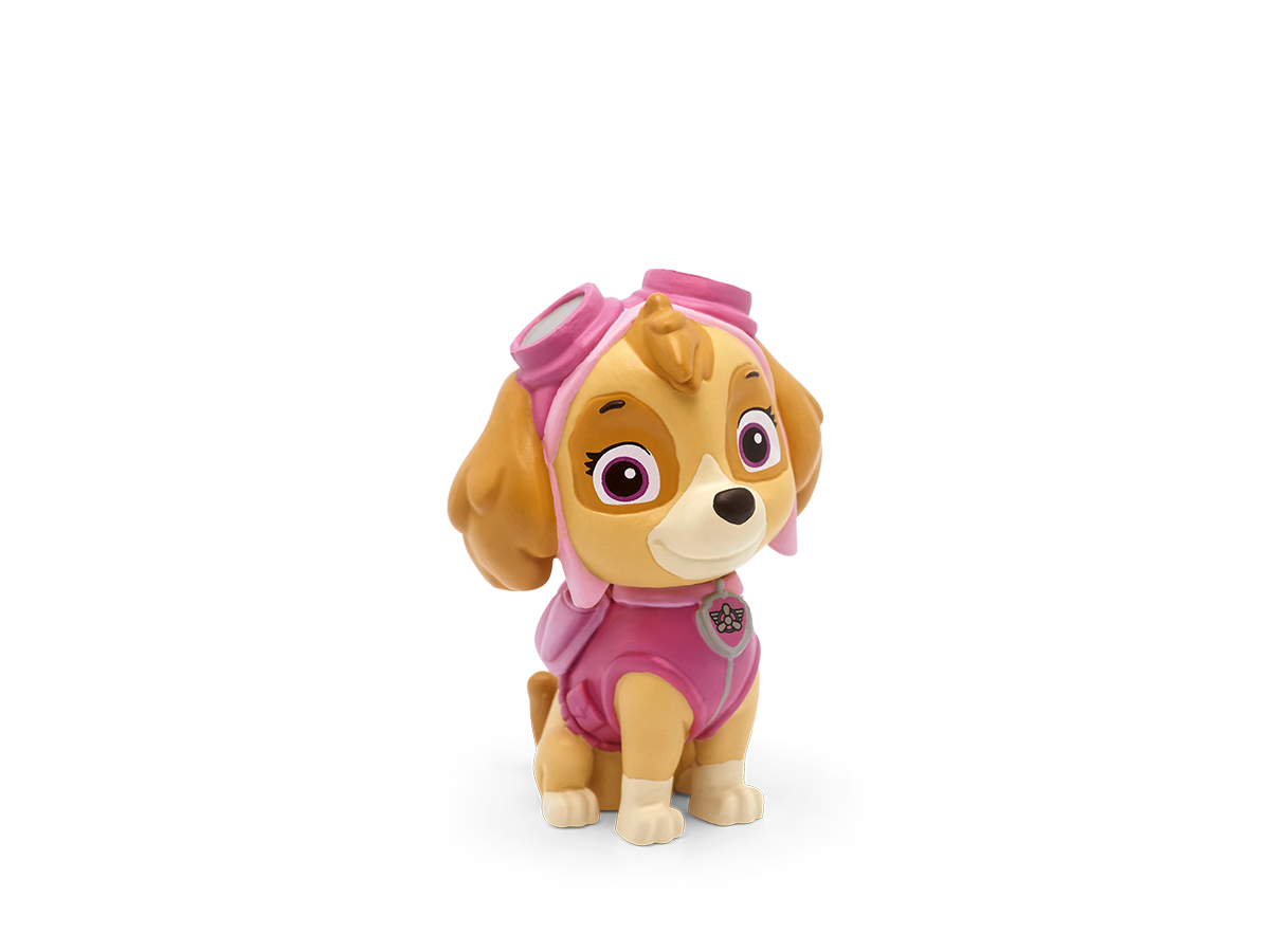 Paw Patrol – Der Delfin-Freund
