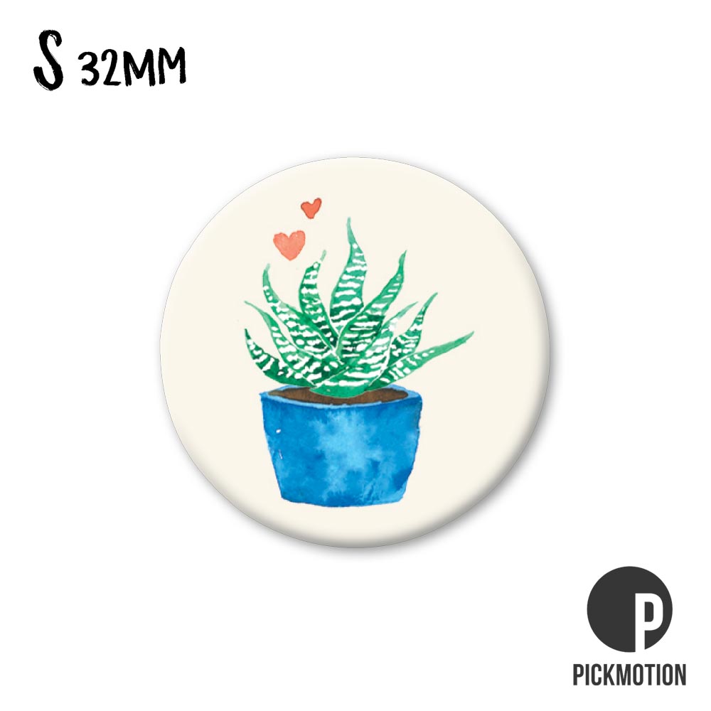 MSA-0559 Magnet S zebra plant