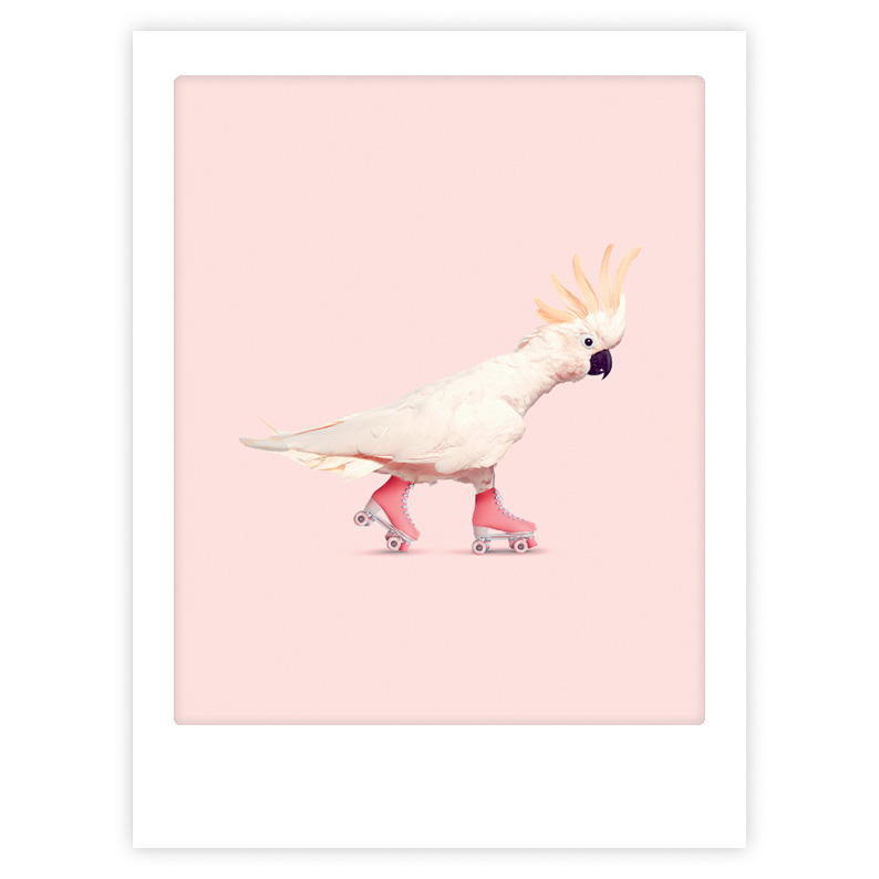 Art Poster Rock´n´Roll Birdy