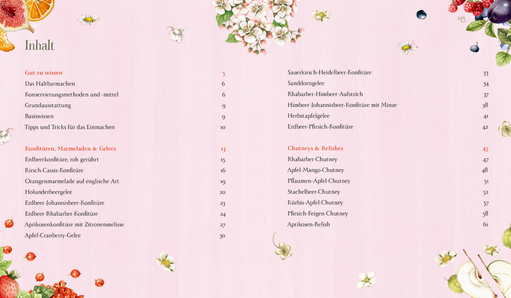 Karin Iden: Sonne im Glas - Die besten Marmeladen und Chutneys (Bastin)