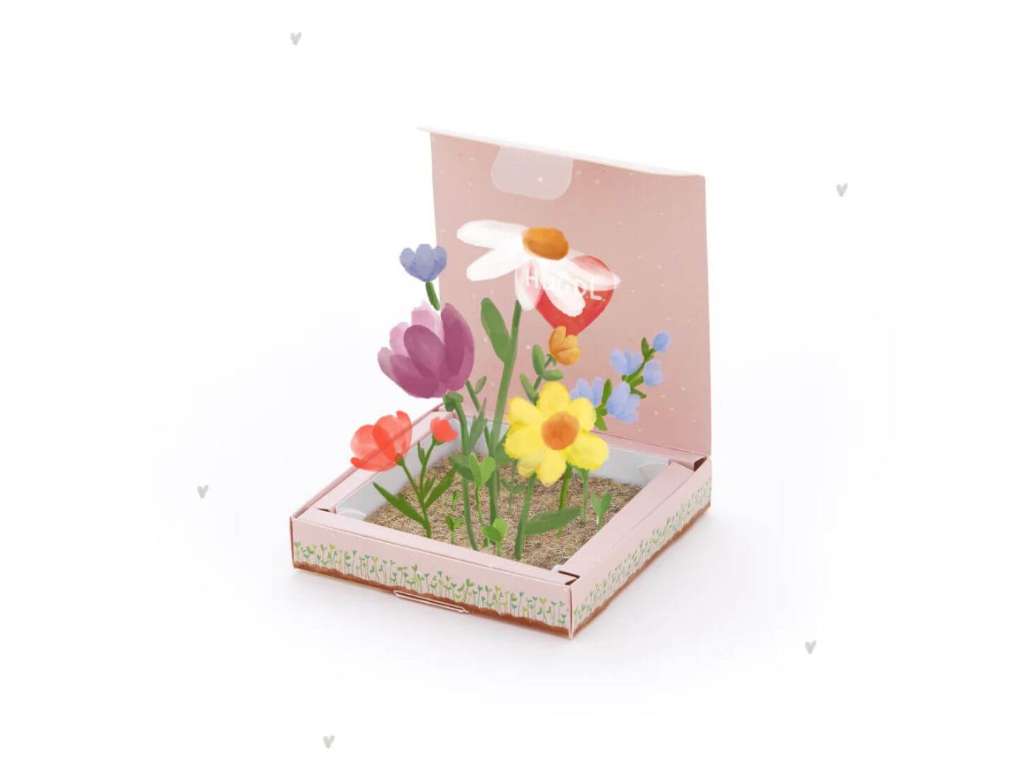 Pflanzkästchen - HDGDL