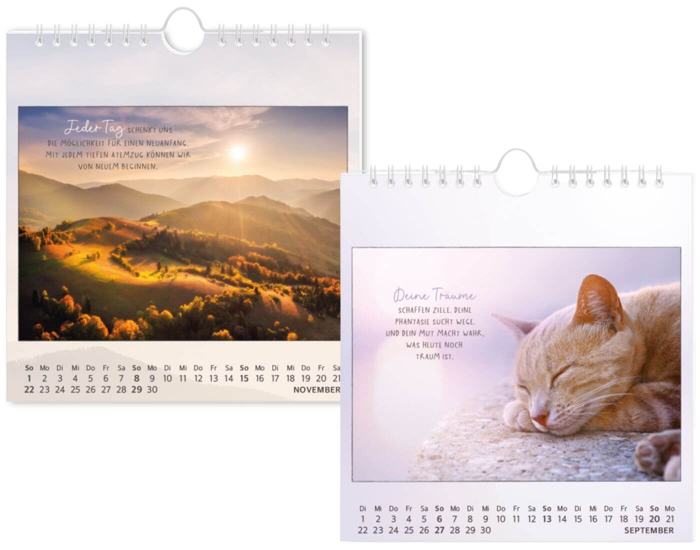 Postkartenkalender 2026 Traumtage