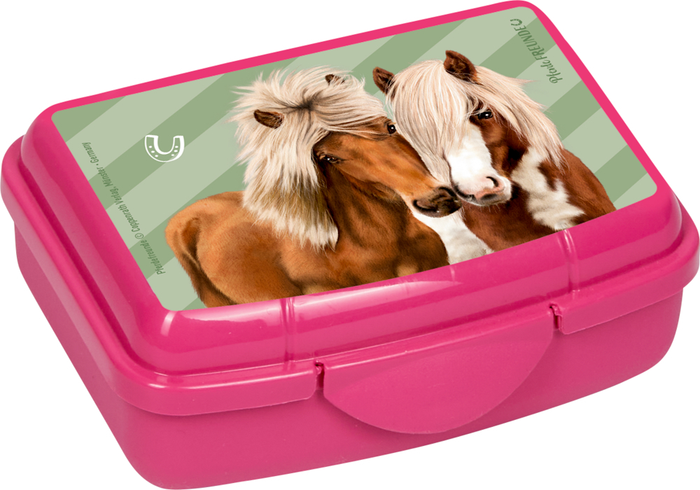 4029753181275_5 Mini-Snackbox - Pferdefreunde (einzeln)