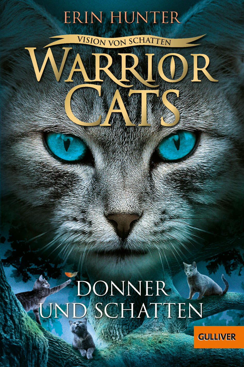 Erin Hunter: Warrior Cats 6/2 Vision von Schatten: Donner und Schatten