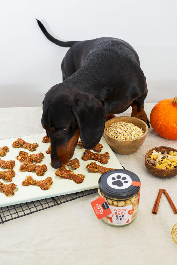 Woof bake Barkies - Hundekekse Kürbis Woof bake Barkies - Hundekekse Kürbis