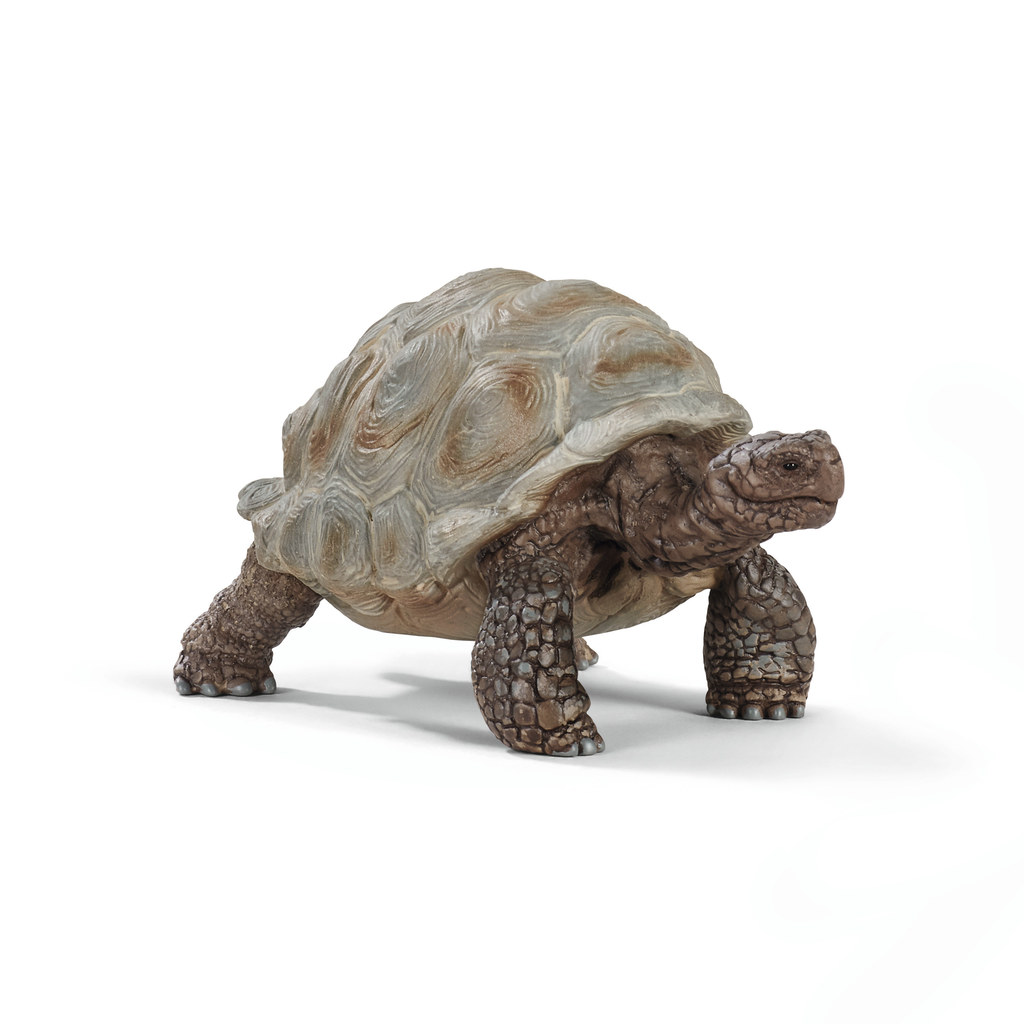 1FLXM9ZPBXCX2A4HOE16_prvw_12400 Schleich Wild Life 14824 Riesenschildkröte