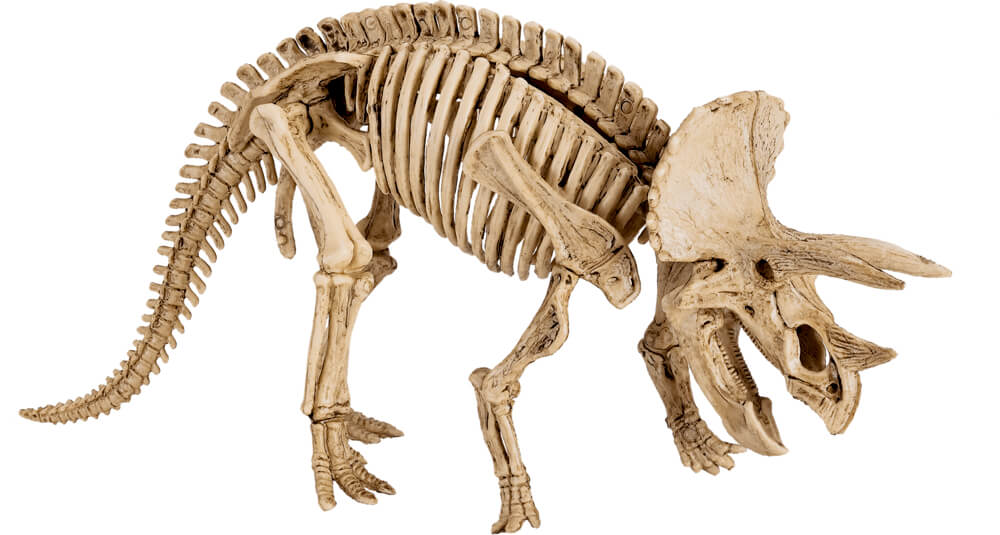 4029753184955_1 Großes Ausgrabungsset Triceratops - T-Rex World