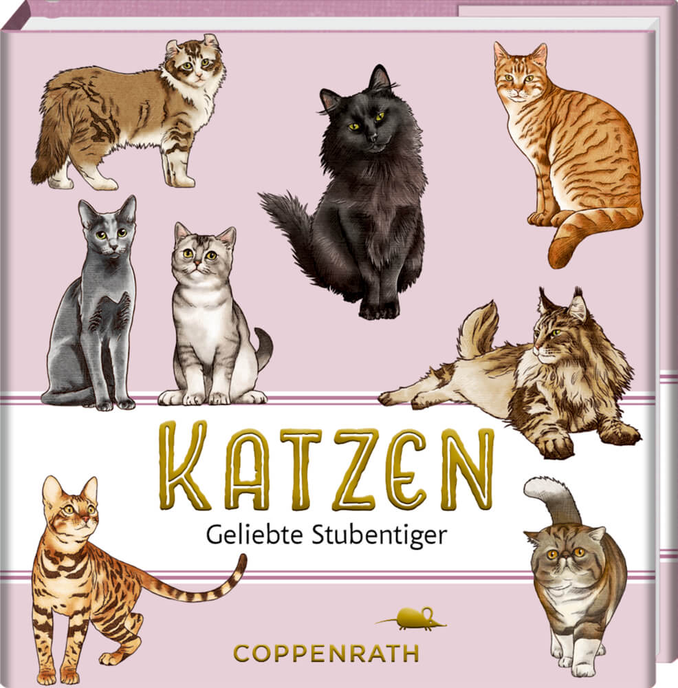 BiblioPhilia: Katzen - Geliebte Stubentiger (cats & dogs) BiblioPhilia: Katzen - Geliebte Stubentiger (cats & dogs)