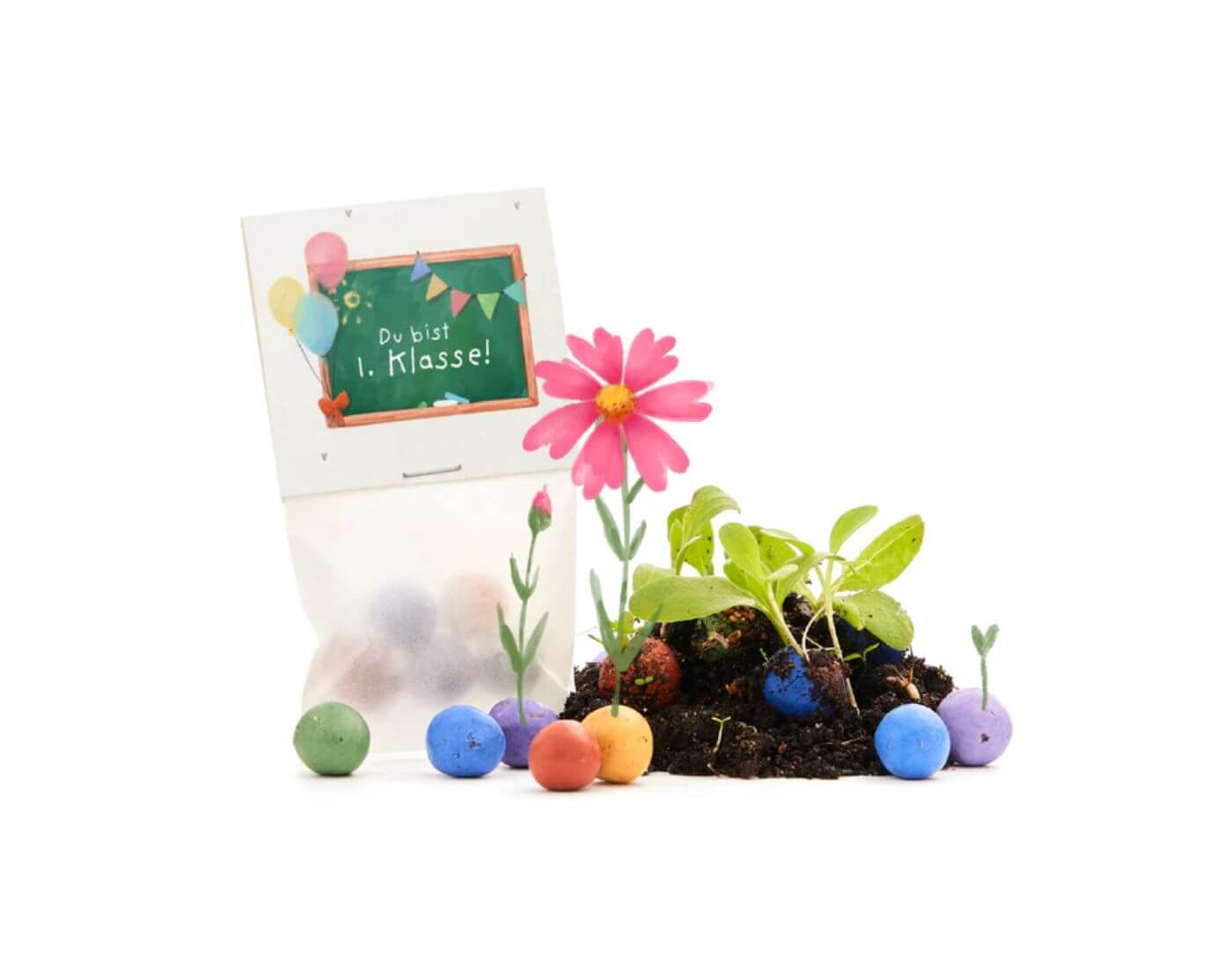 5 Blumenmurmeln im Tütchen zur Einschulung - Du bist 1. Klasse