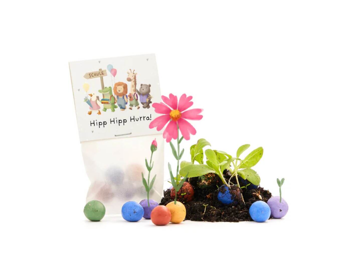 5 Blumenmurmeln im Tütchen zur Einschulung - Hipp Hipp Hurra!
