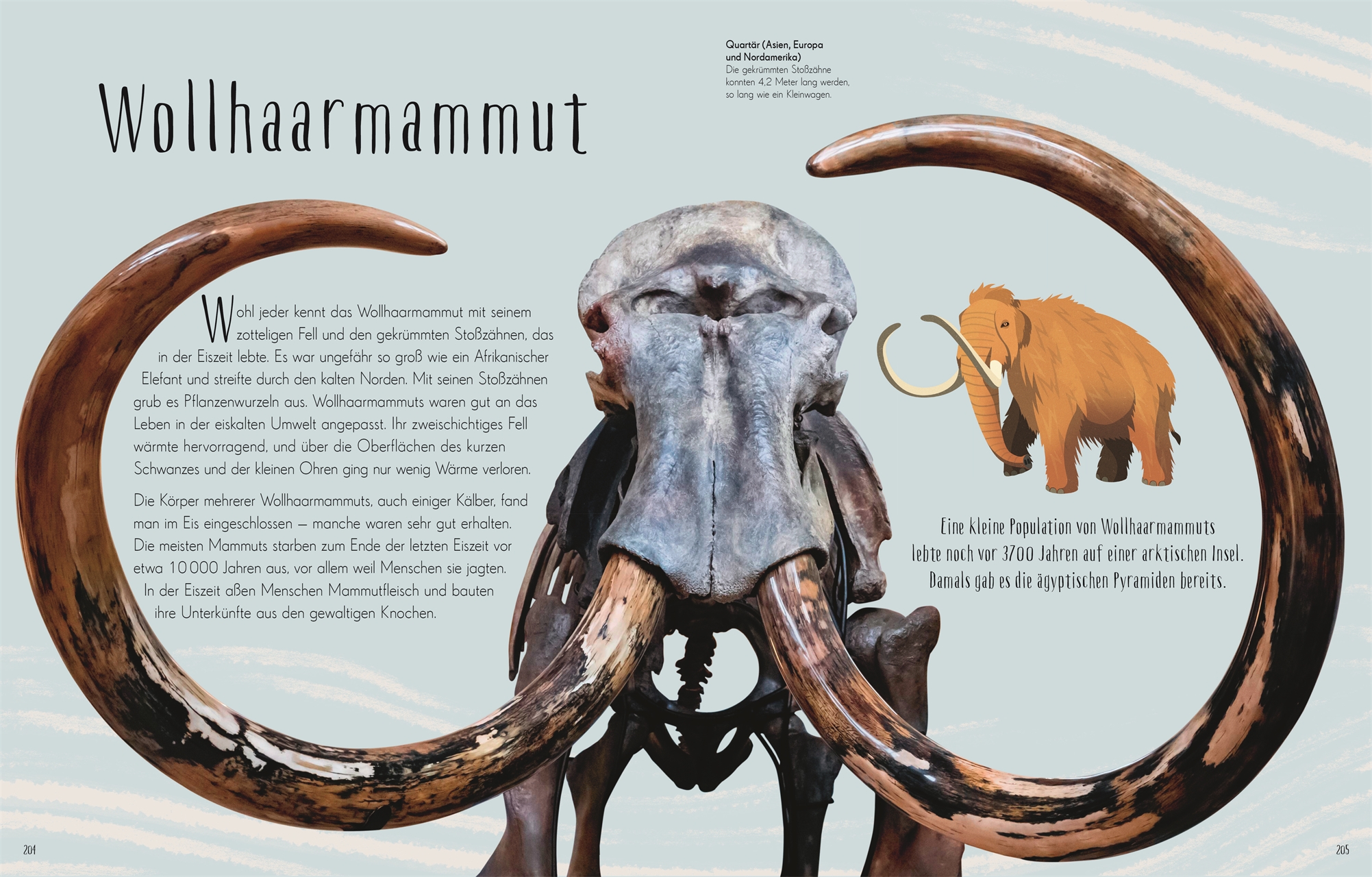 Anusuya Chinsamy-Turan, Angela Rizza (Illustr.), Daniel Long (Illustr.) Wundervolle Welt der Dinosau