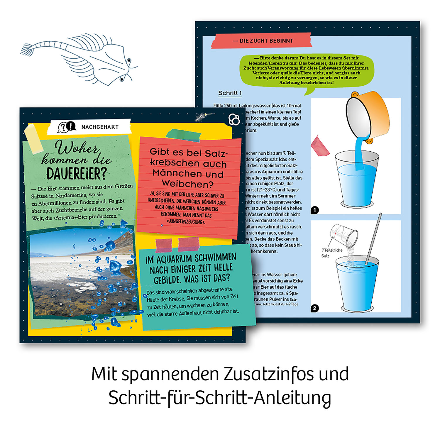 4002051657871_4 Urzeit-Krebse Experimentierkasten