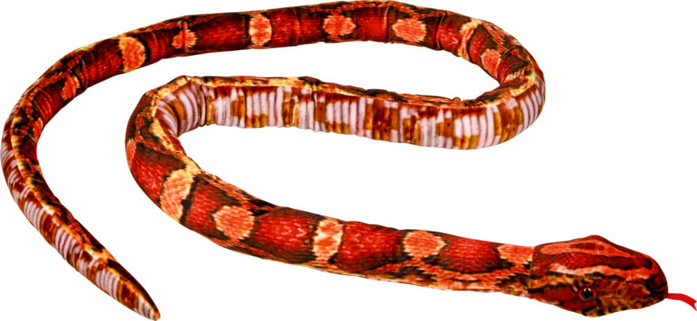 4029753223333 Kornnatter - Natur Zoom Wild