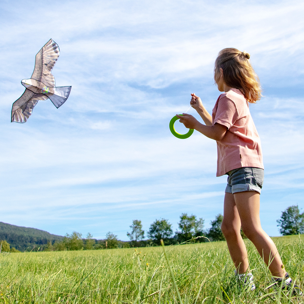 Flugdrache Terra Kids